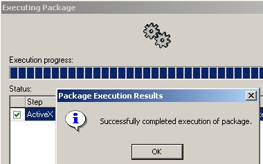 Page execution results
